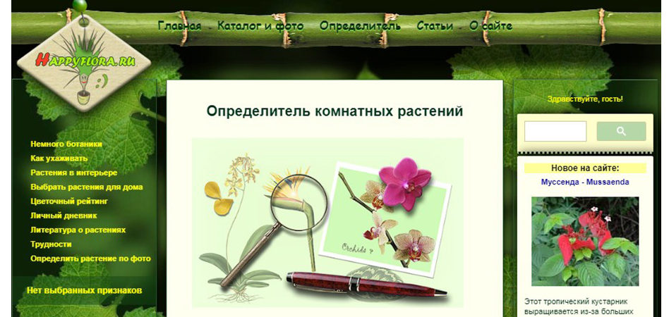 Сайт happyflora.ru