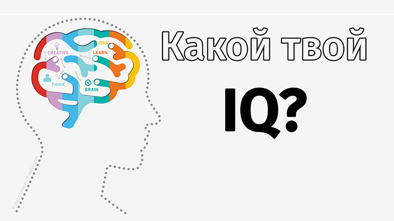 Тест на IQ бесплатно онлайн